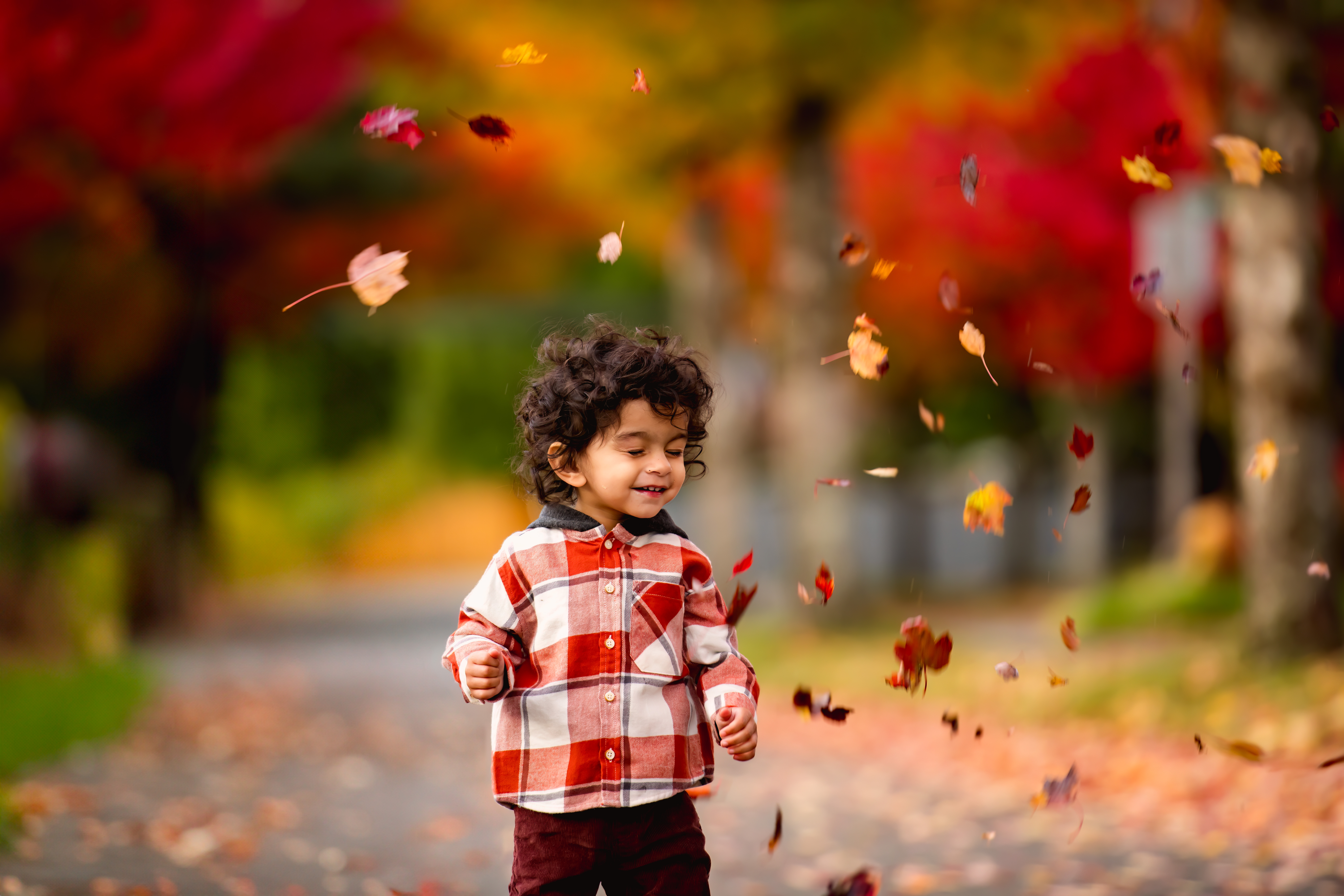 Stunning autumn photography with golden hour lighting